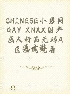CHINESE小男同GAY XNXX国产成人精品无码A区在线观看